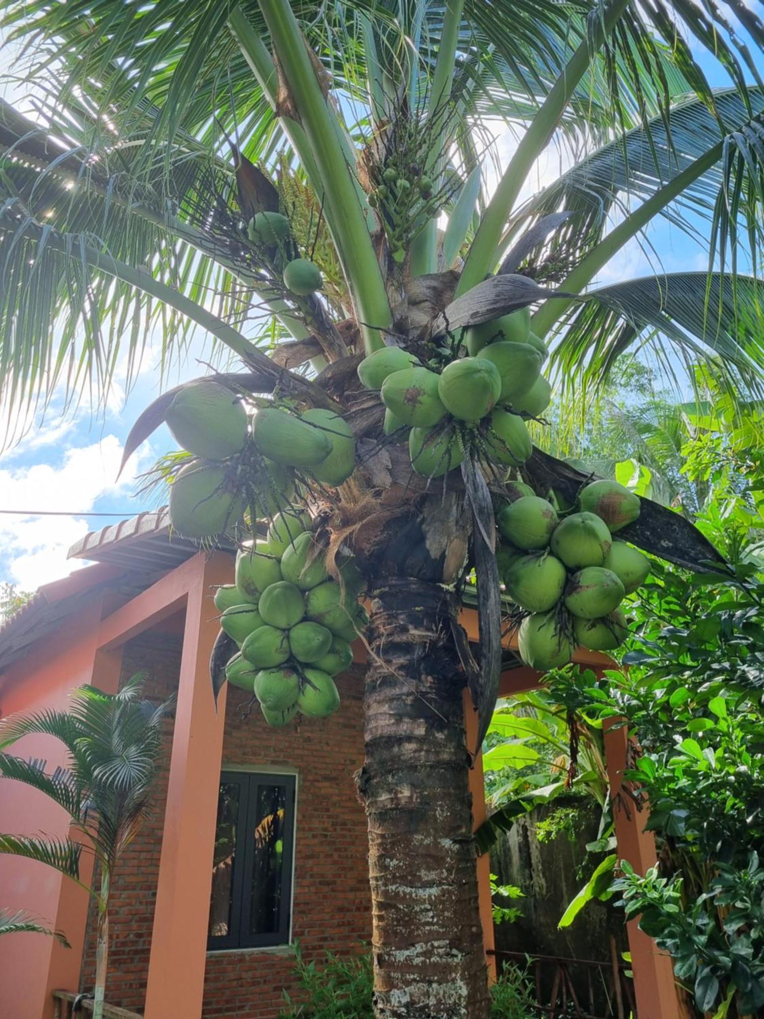 Anan Boutique Bungalows With Private Kitchen Phu Quoc Exterior photo